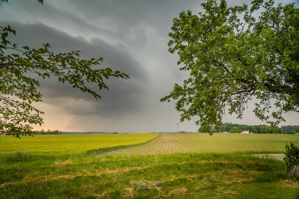 Holzmannstett