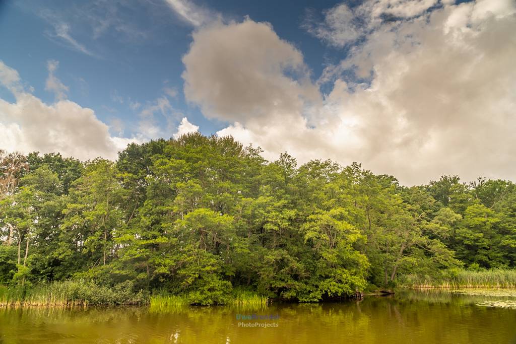 Müritz