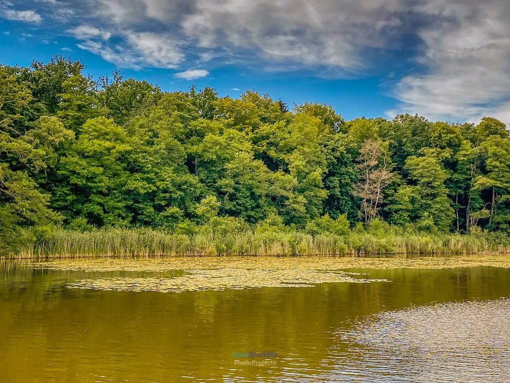 Müritz