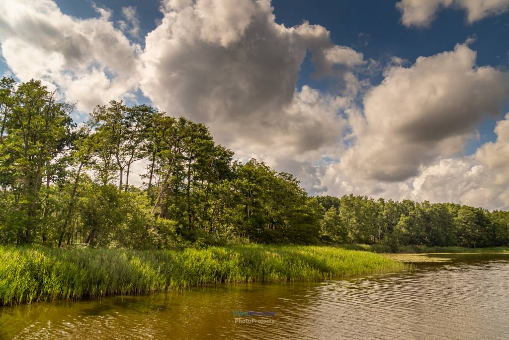 Müritz